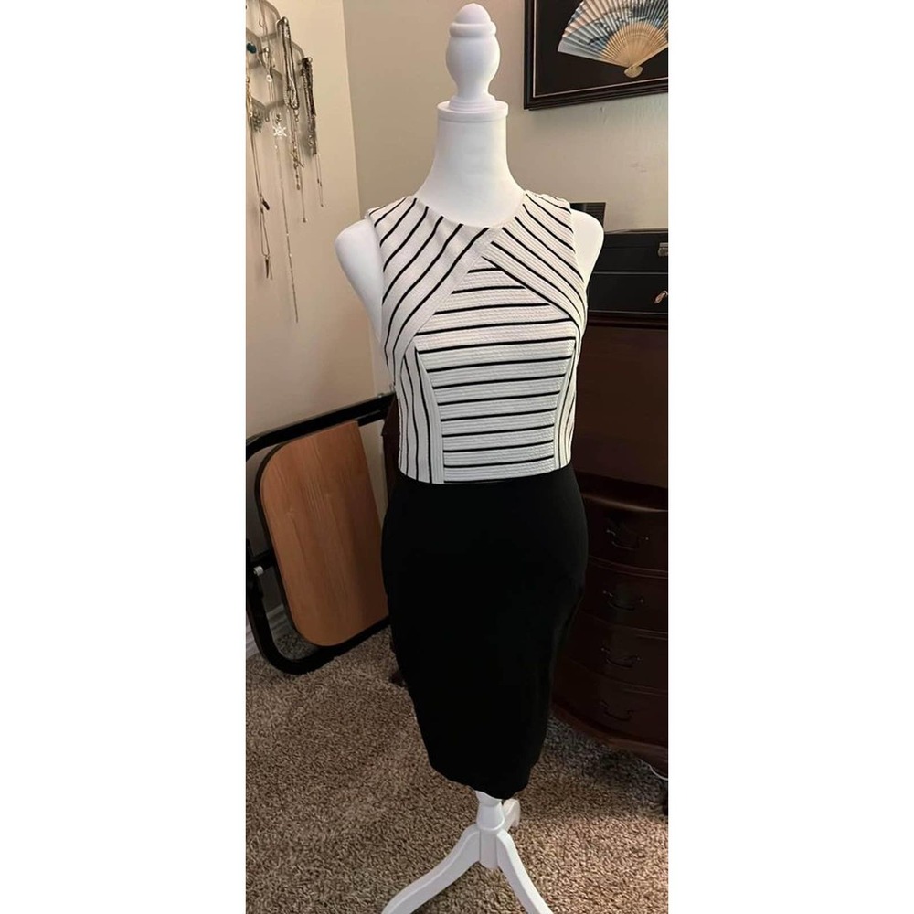 Lulu’s Bodycon Dress Size s